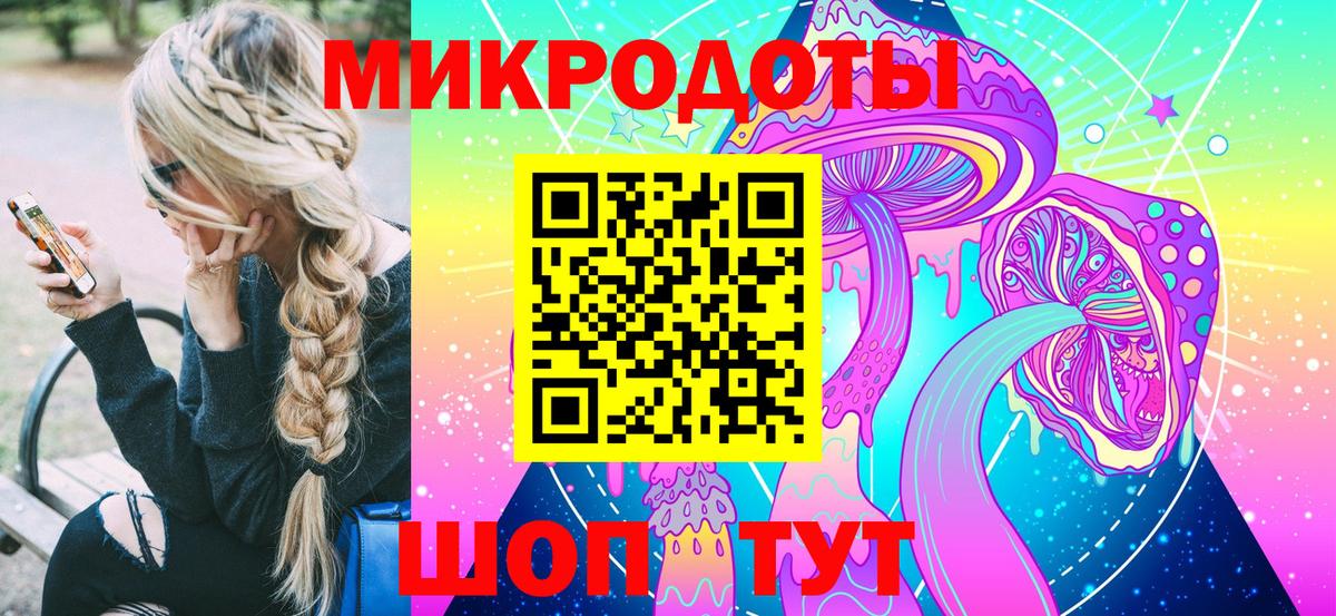 Псилоцибиновые грибы Psilocybine cubensis Россия