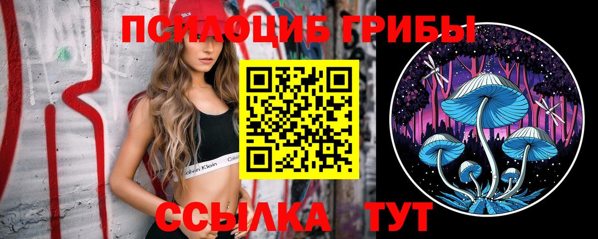 Россия  Псилоцибиновые грибы мицелий  Вход с VPN  Псилоцибиновые грибы мухоморы 